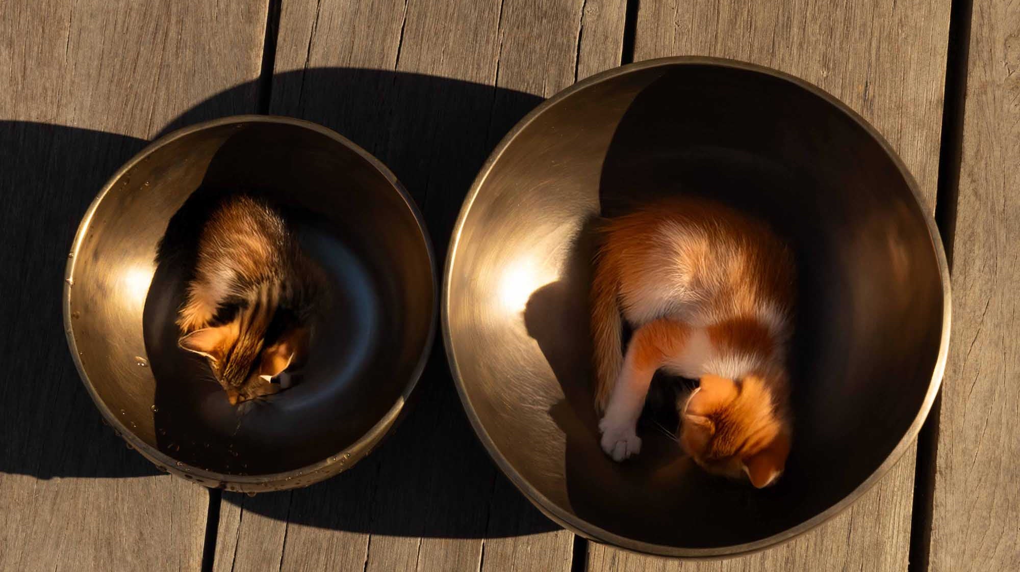 Singing Bowl vs Relaxing Music: Which One Helps You Slow Down Better? - Himalaya Soul