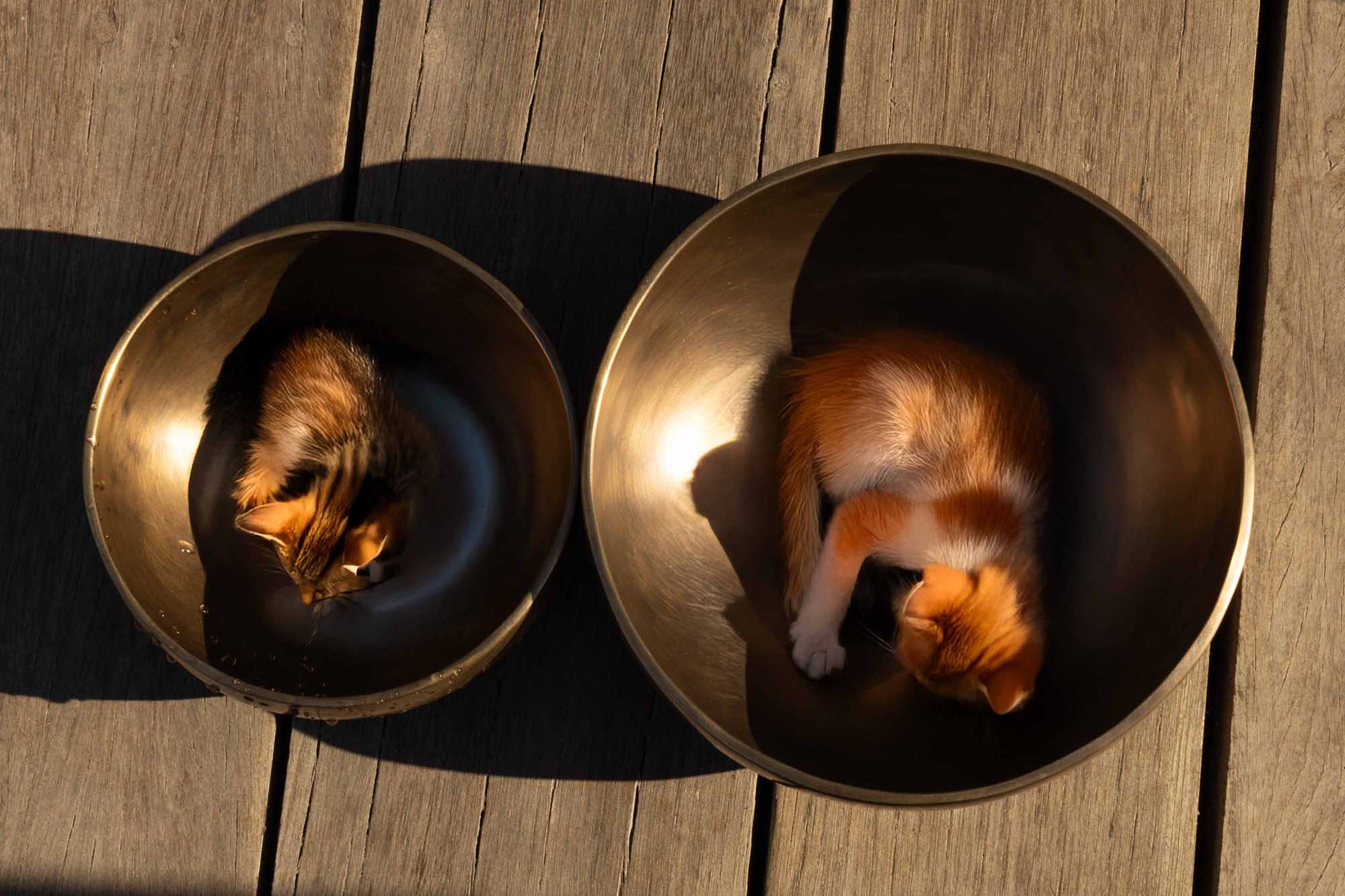 Singing Bowl vs Relaxing Music: Which One Helps You Slow Down Better? - Himalaya Soul